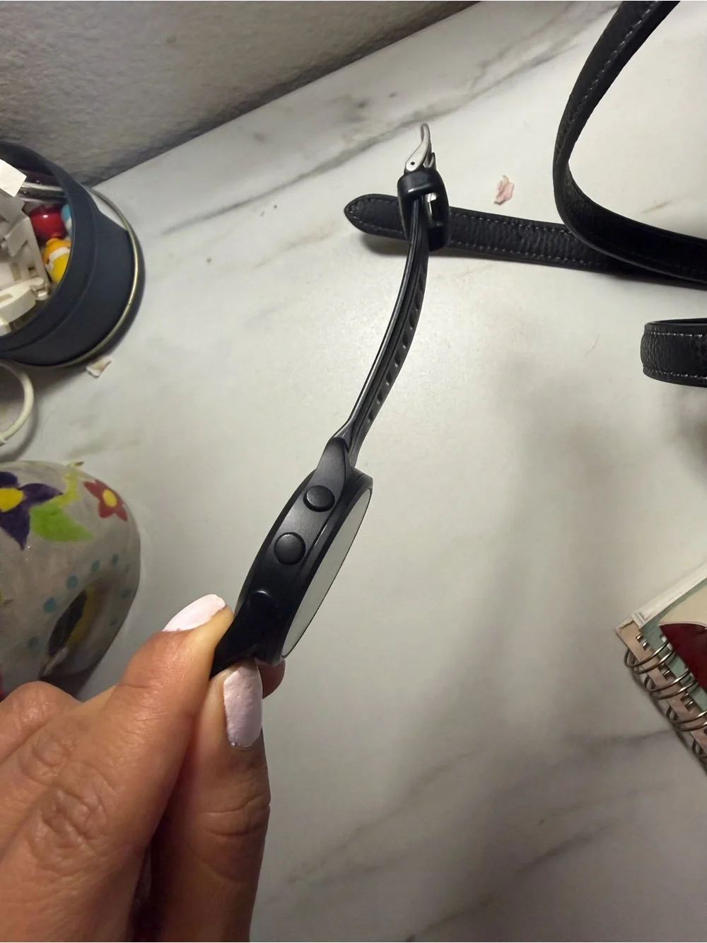 Garmin 165
